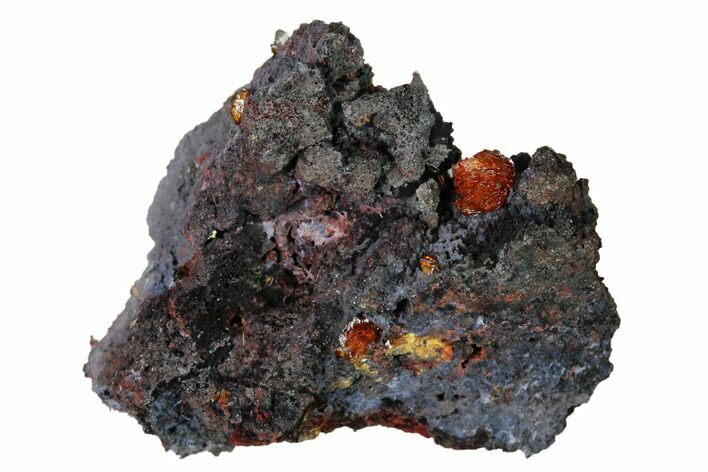 Red-Orange Descloizite Crystals on Matrix - Apex Mine, Mexico #155871